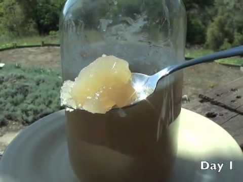 Bone Broth: Seven Days Of Gelatin, Same Bones