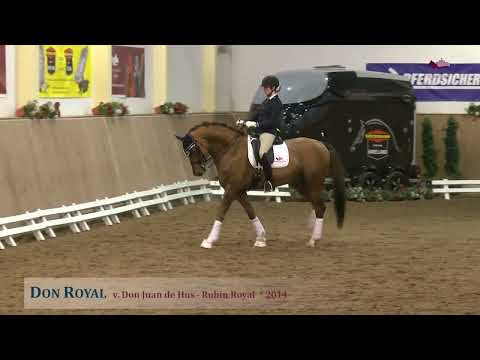 Don Royal v. Don Juan de Hus - Rubin Royal