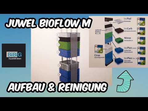 Mein Juwel Bioflow M Innenfilter | Aufbau & Reinigung für gute Leistung | Aquarium-Technik | BiBiG