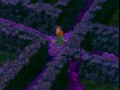 Braindead 13 Garden Maze Music