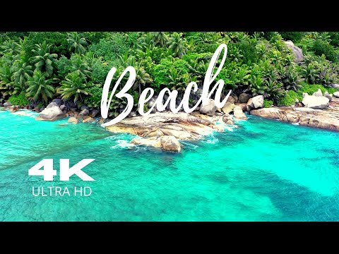 Beach with Clear Blue Water | Tropical Dream | 4K Video | Nature In 4K