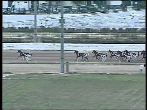 Trotto 23/04/2015 - 8° corsa