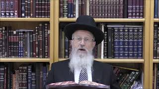 הגאון הרב אברהם יוסף שליט＂א האם מותר להוסיף בקשות לפני ההבדלה חשון תשפ"ו (רבנים שונים) - התמונה מוצגת ישירות מתוך אתר האינטרנט יוטיוב. זכויות היוצרים בתמונה שייכות ליוצרה. קישור קרדיט למקור התוכן נמצא בתוך דף הסרטון