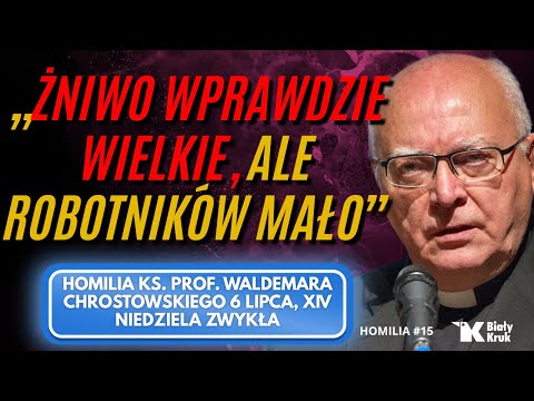 "The harvest is plenteous, but the workers are few." Homily by Rev. Prof. Waldemar Chrostowski