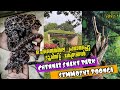 Guindy National Park | Semmozhi Poonga | Chennai Snake Park | Chennai Tourist Places Malayalam Video