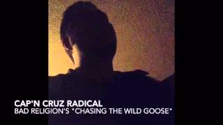 Chasing The Wild Goose