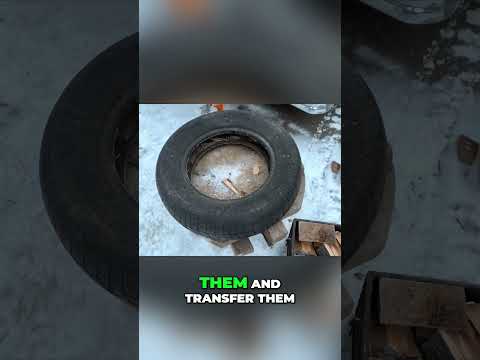 Winter Wood Prep: Splitting Logs for Optimal Home Heat