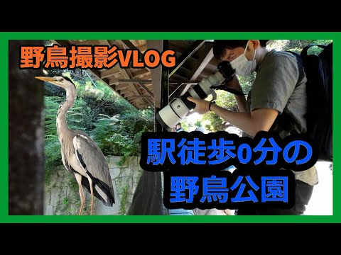 タイヒ鳥類公園 - 定義