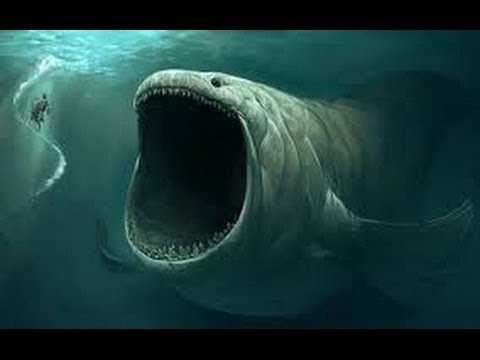 Apakalypse - Free Will {EDK}