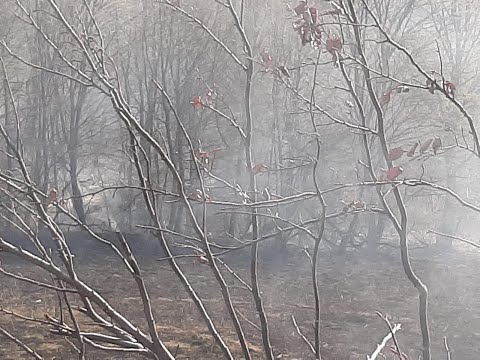 Peste 40 hectare de vegetație uscată  au ars în județul Sibiu | novatv.ro
