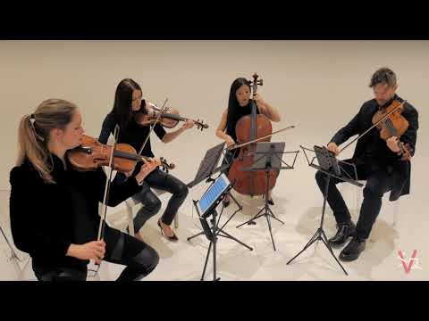 4K Best Philip Glass Quartet: Quartet 2 "Company" (Entire)