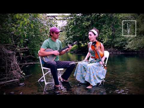 Dear Crow   ///   Waterbound