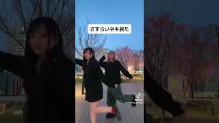 さすらいネキ伝説のコラボ！！