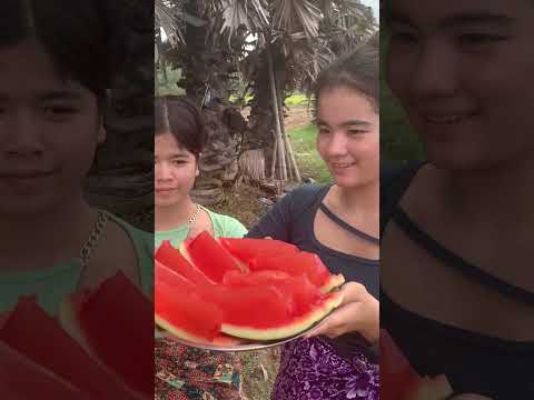 I caught a watermelon with a beautiful girl.#shorts #0219