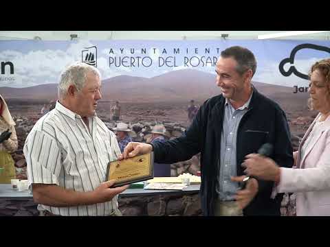 Homenaje a la ganadería de Costa del municipio de Puerto del Rosario