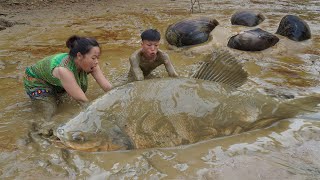 Download lagu Top 10 video: Primitive Life - Survival in the forest Most Difficult Catch Fish Primitive Cooking mp3