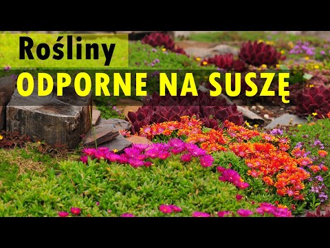 10 proven DROUGHT-RESISTANT species