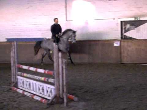 Cassus Springen Teil II