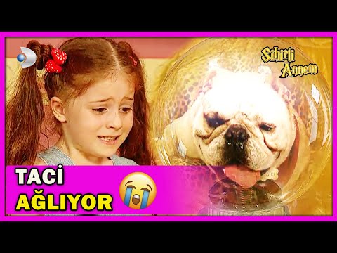 Taci, Dudu Yüzünden Ağlıyor! - Sihirli Annem Özel Klip