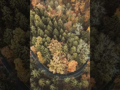 Amabokoboko [Sister Bokkina] (Riddles Yano Remix)