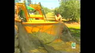 preview picture of video 'Aceite La Laguna De Fuente De Piedra'