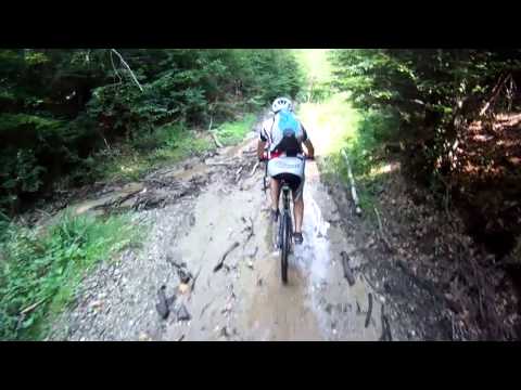 Transylvania calling