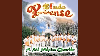 Popurrí Bukis: Mi Najayita / La Indiecita / Viva el Amor