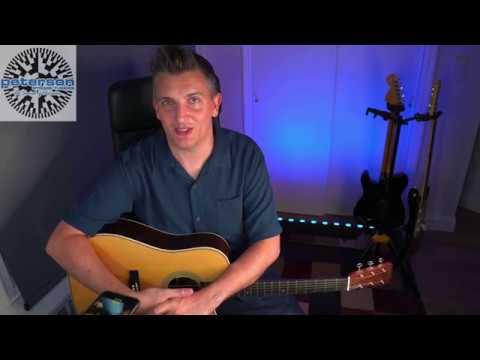 Peterson Strobo Stomp Tuner HD Review/Demo