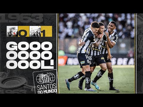 VASCO DA GAMA 0 x 1 SANTOS | GOL | BRASILEIRÃO (14/05/23)