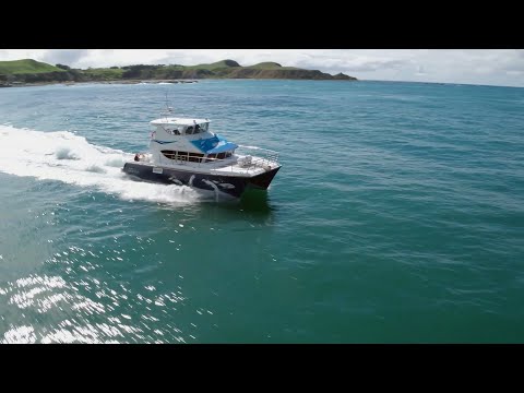 靜靜的凱幸拉之美 - 國家地理頻道 (The Quiet Beauty of Kaikōura | National Geographic)
