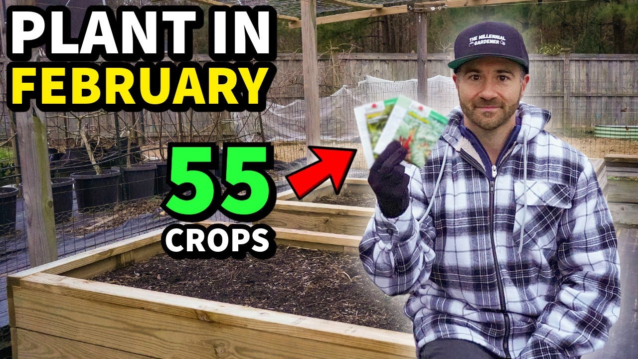 DON'T WAIT! Plant These 55 Crops In FEBRUARY Right Now!