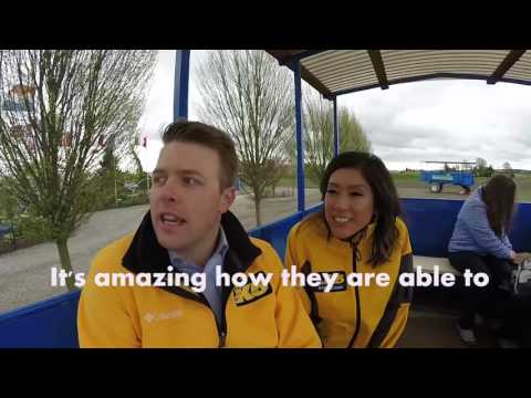 Skagit Valley tulips! The fields are amazing this time of year. Fresh flowers.