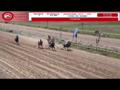 6° Carrera 350 mts (Hip CBA) Ganador: Maiden Claiming