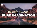 Timothée Chalamet - Pure Imagination (from Wonka) | Lyrics