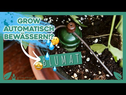 Tropf-Blumat – 🥦 Pflanzen automatisch bewässern ohne Strom 💧