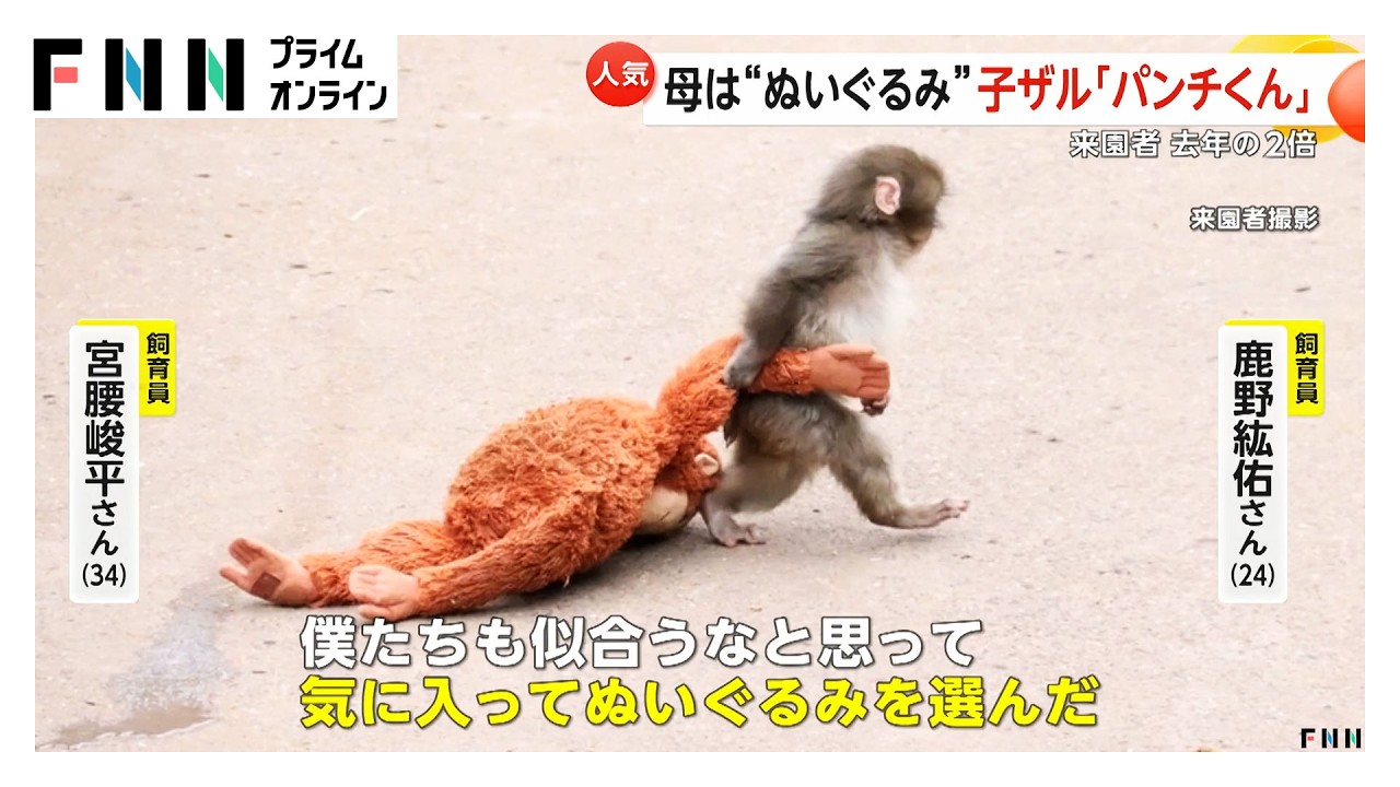 「けなげでかわいい」ぬいぐるみが“母”の子ザル「パンチくん」市川市動植物園で大人気…気温上昇で行楽地に賑わい（2026年02月16日）