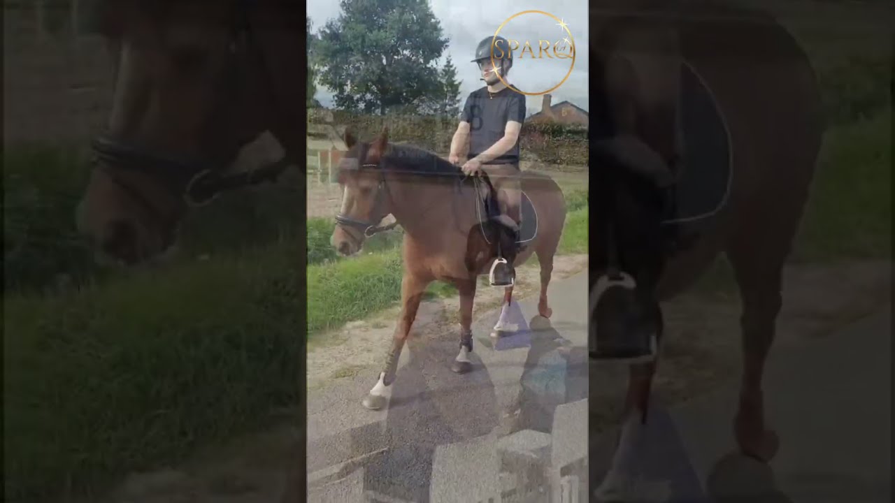 Kantje's Loraya video 2
