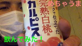 カルピス完熟白桃が美味い！