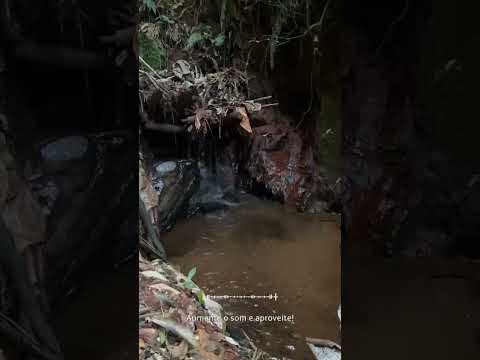 Um novo jeito de viver o Minas