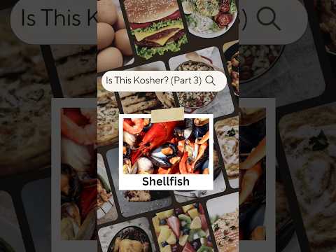 Are Shellfish Kosher? Test your knowledge of the Jewish dietary laws.  #jewishlife #kosher #judaism
