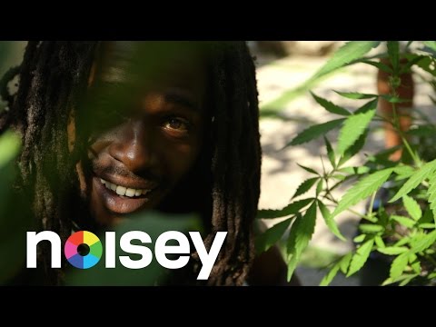NOISEY JAMAICA レゲエ新世代の逆襲 ＜総集編＞