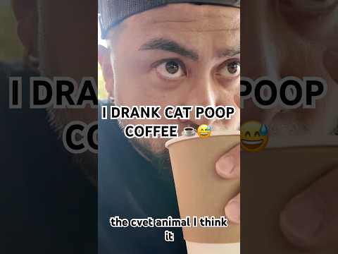 Civet Cat POOP coffee: The most expensive coffee in the world!