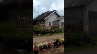 Download lagu ORANG GILA NGAMUK NGOMONG JOROK mp3