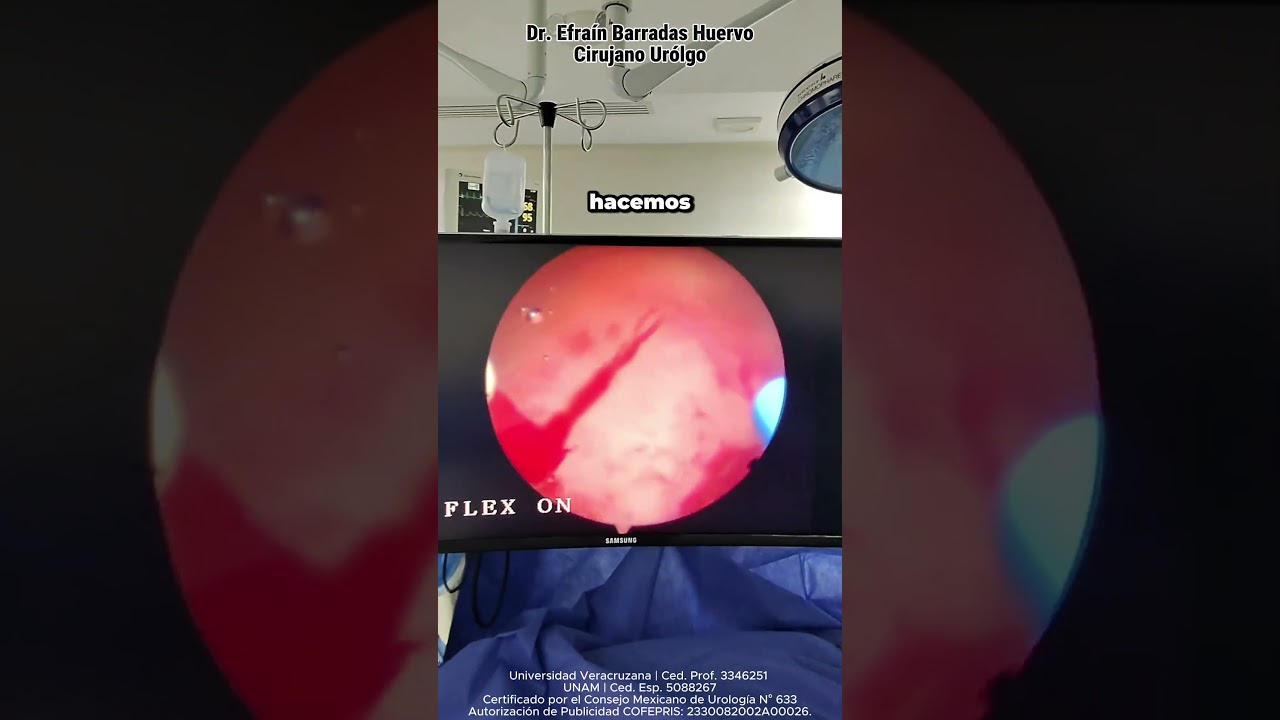 Efrain Barradas Huervo-37