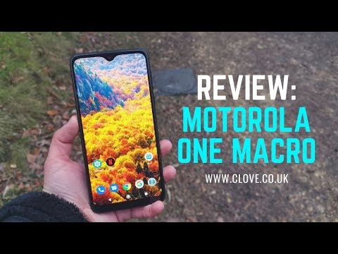 Motorola One Macro Review: Macro Photos, Massive Potential