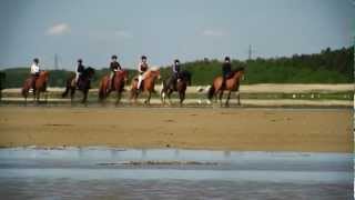 preview picture of video 'Ridetur til Lyngholt - Krogbækgaard Rideferie'