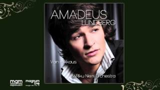 Amadeus Lundberg & Riku Niemi Orchestra - Besame Mucho