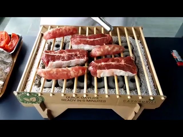 烤肉神器CASUSGRILL 丹麥工藝環保烤肉架 FB直播備份