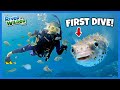 KIDS Scuba Dive With PUFFERFISH LOBSTERS And EELS