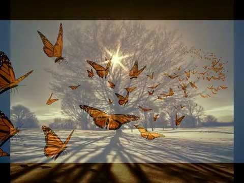 Free Spirit Release Hypnosis Recording